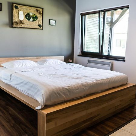 Hotel Casa Patru Anotimpuri à Dunavăţu de Jos Extérieur photo