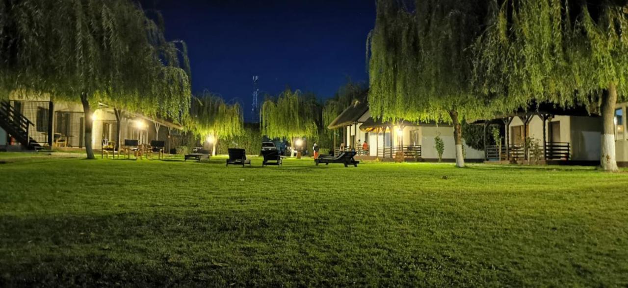 Hotel Casa Patru Anotimpuri à Dunavăţu de Jos Extérieur photo