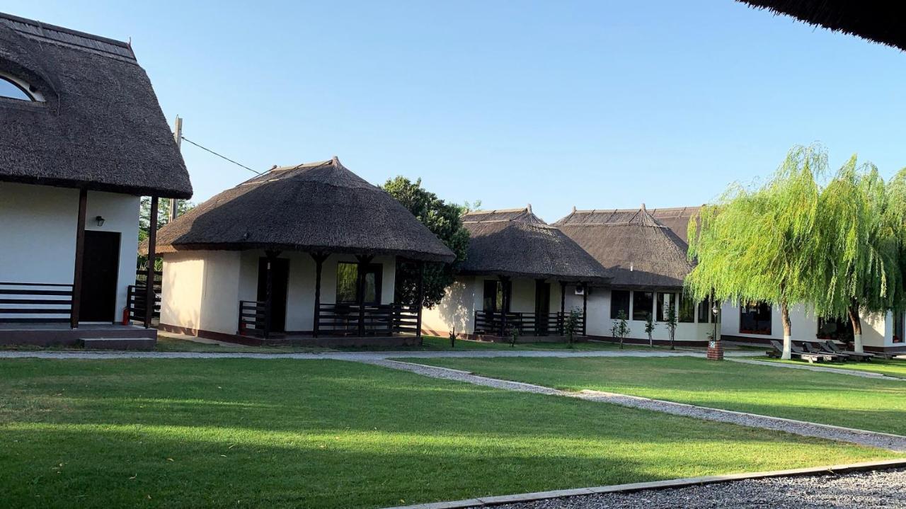 Hotel Casa Patru Anotimpuri à Dunavăţu de Jos Extérieur photo